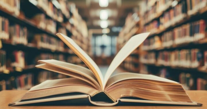 magiczna-noc-w-bibliotece-dla-mi--o--nik--w-harry--auto-6397